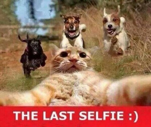 The Last Selfie.jpg
