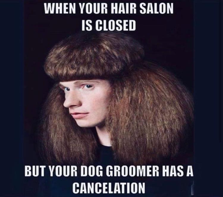 dog-groomers.jpg