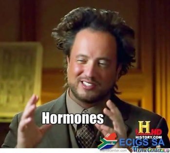 MemeCenter_1389360782101_555.jpg