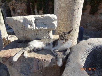 Turkey-09.jpg