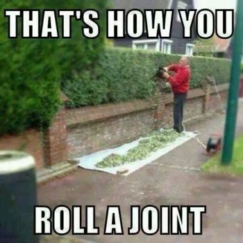 JOINT.jpeg