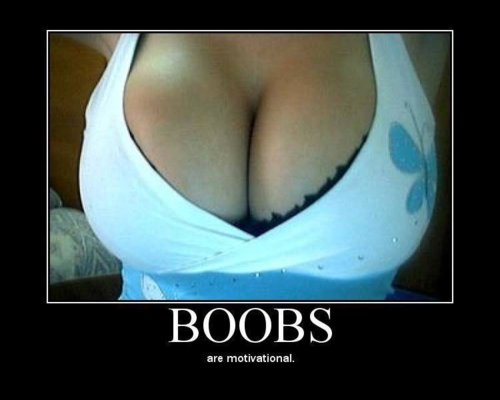 boobs.jpg