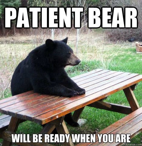 patient bear.jpg