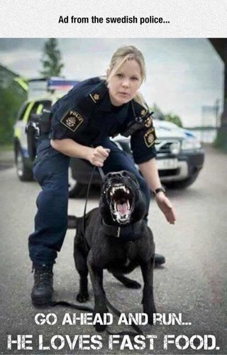 SwedishPoliceDog.jpg