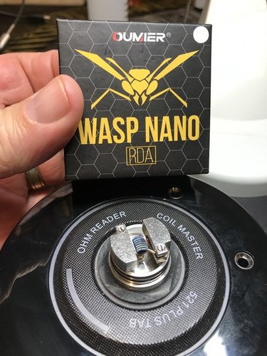 Wasp 002.JPG