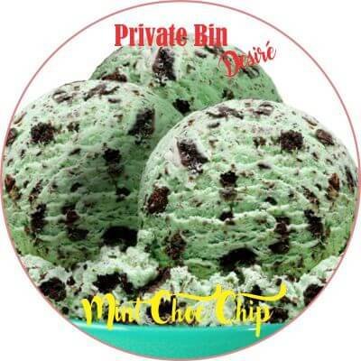 Mint Choc Chip IC.jpg