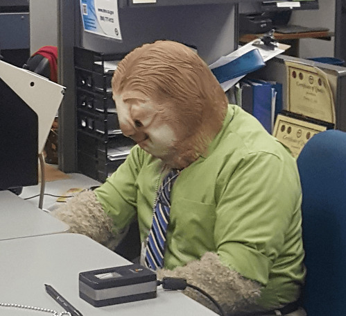 dmv-halloween-office-zootopia-character-17.png