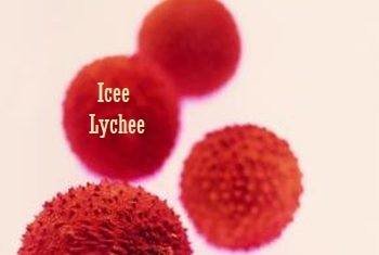 Icee Lyc.jpg