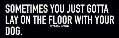 Sometimes you just gotta lay on the floor with your dog.jpg
