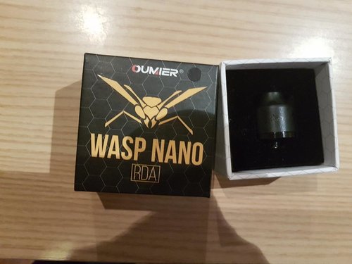 wasp.jpg