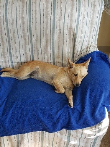 20180202_170116_COPY.jpg
