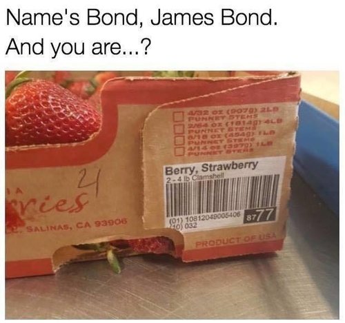 Bond_James Bond.jpg