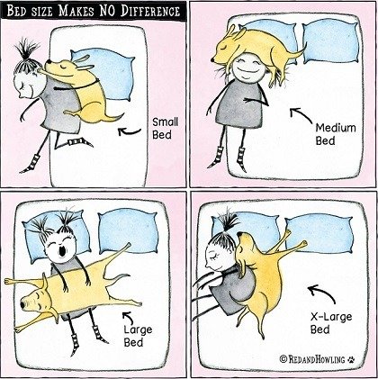 Bed size makes no difference.jpg