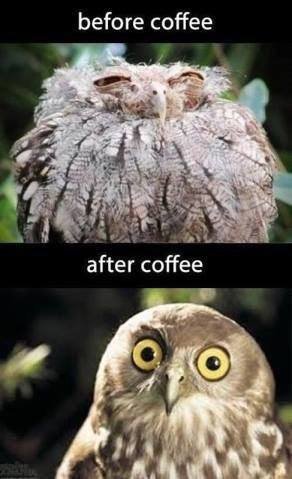 Coffee_Before & After.jpg