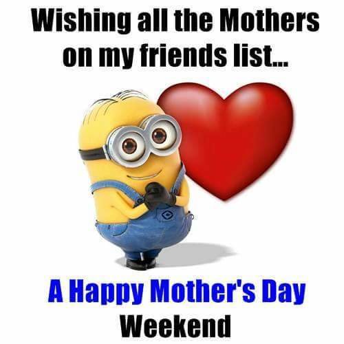 FB_IMG_1526199534509.jpg