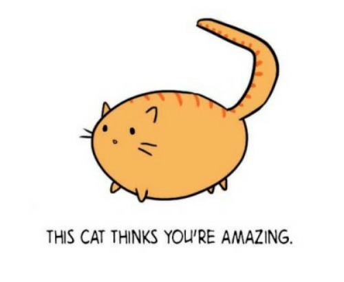 1-this-cat-thinks-youre-amazing-29154579.png