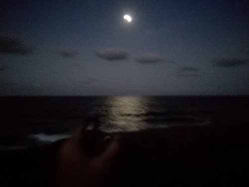 IMG_20180626_173037.jpg
