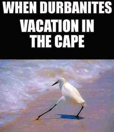 Cape.jpg