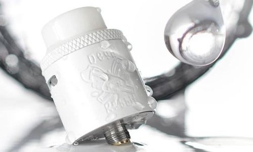 dead rabbit white.JPG dead rabbit white.JPG