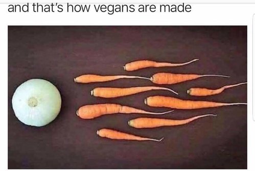 How vegans are made.jpg