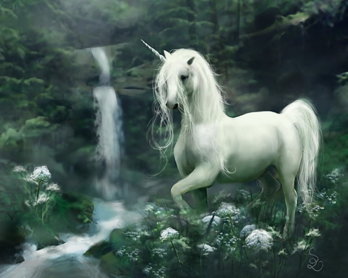 unicorn-fantasy.jpg