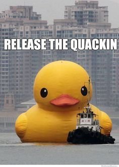 quacken.jpg