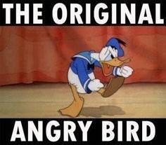 angrybird.jpg