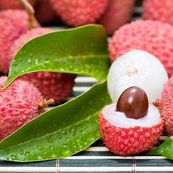 lychee.jpg lychee.jpg