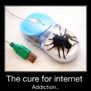 ImageUploadedByTapatalk1415817230.567899.jpg
