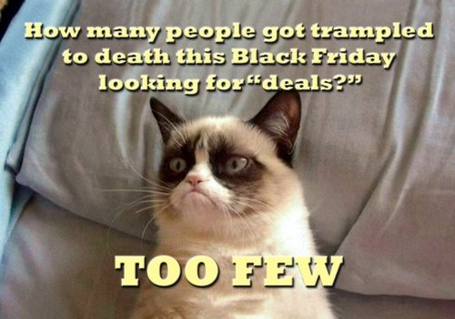 00-grumpy-cat-black-friday-251117.jpg