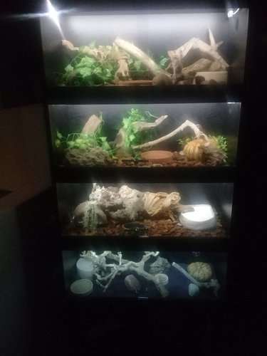 20181229_194613.jpg