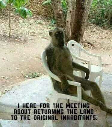 Returning the land.jpg