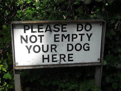 Do not empty your dog.jpg