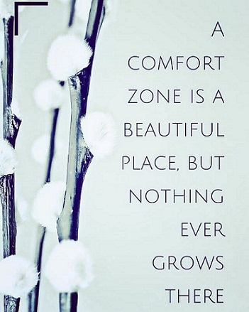 Comfort zone.jpg