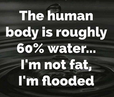 Flooded not fat.jpg