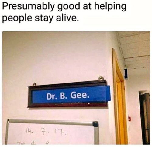 funny-memes-dr-bee-gee.jpg