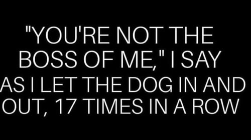 You're not the boss of me.jpg