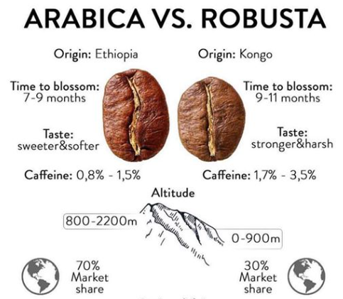 Arab vs Robus.png