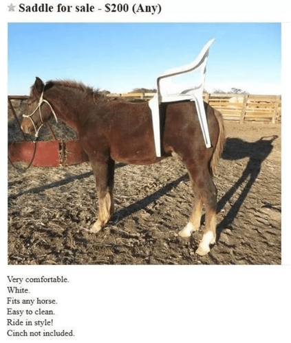 Horse-Saddle-Funny-Craigslist-Ad.png