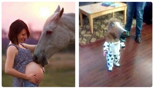 How-baby-horses-are-born-funny-meme.jpg