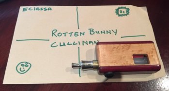 Rotten 009.JPG