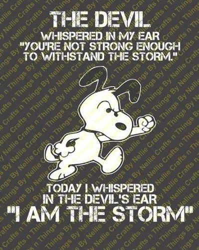 I am the storm.jpg