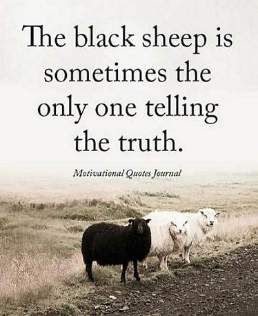 The black sheep.jpg