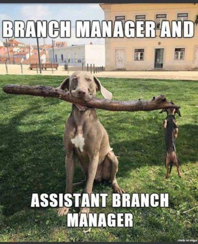 Branch Manager.png