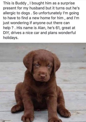 Find a new home for him.jpg
