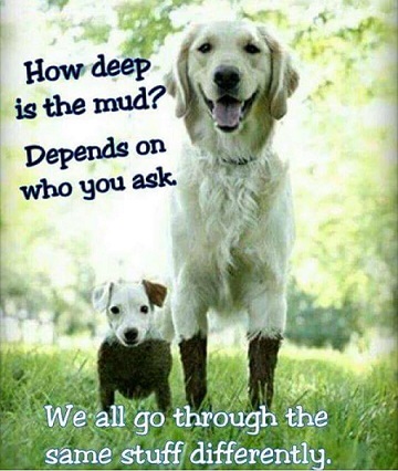 How deep is the mud.jpg