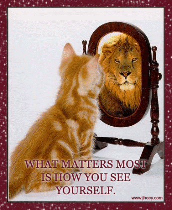 How you see yourself.gif