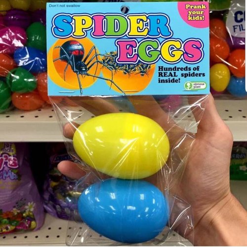 spider eggs.jpg