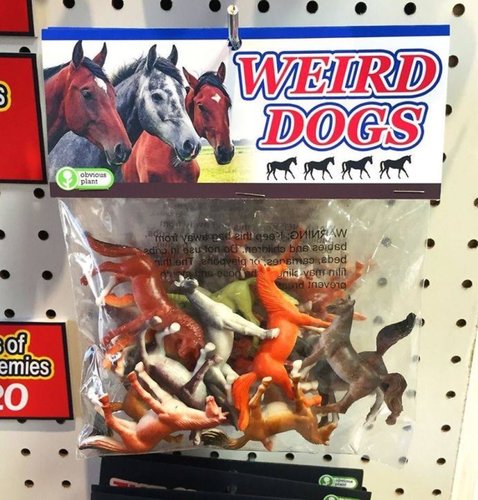 weird dogs.jpg