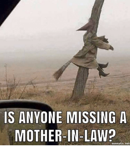 is-anyone-missing-a-mother-in-law-mematic-net-37117461.png